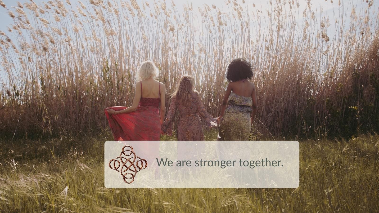 Three diverse women facing a sunlit field, symbolizing community, connection, and empowerment within Recollections Within.